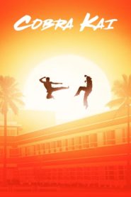 مسلسل Cobra Kai الموسم الثاني مترجم كامل